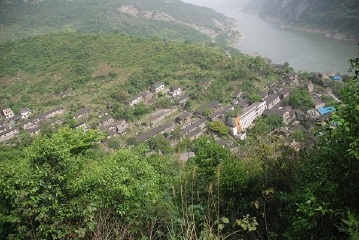 桃花村