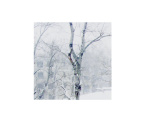 雪 窗 II