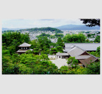 山 顶