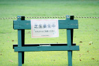 芝 生 I