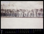 12月