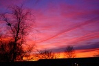 dusk