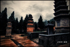 河南嵩山少林寺 塔林