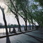 后海