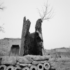 c009