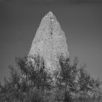 c010