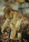 Image11