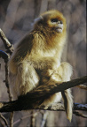 Image12
