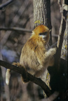 Image23