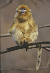 Image37