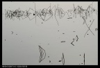 DSC_0016_nEO_IMG
