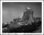 2010.07.01. 新路海 树 海拔3980m_nEO_IMG