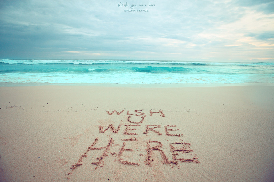 wish you were here - 废虫 - 每张照片都是有感情