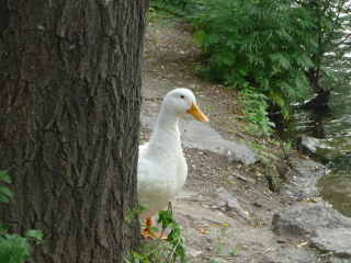 P1050112