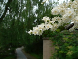 P1050150