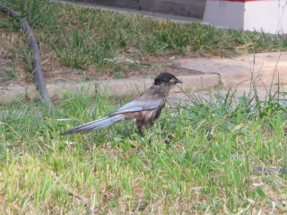 P1050719