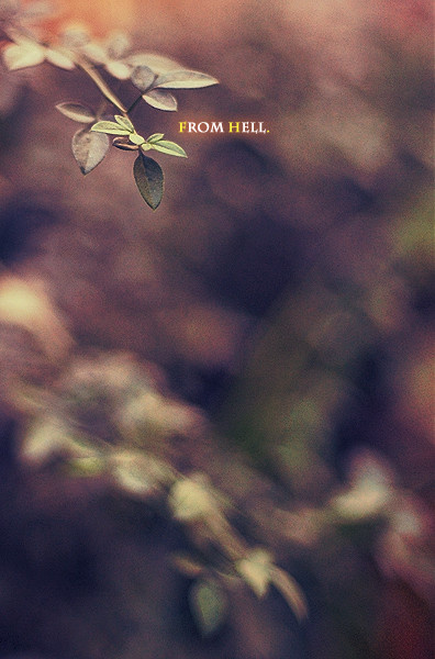 fromhell