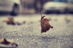 dance