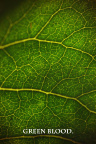 greenblood