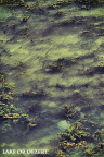 lakeordezert
