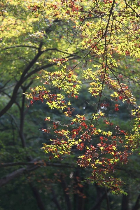 SIMG_5614