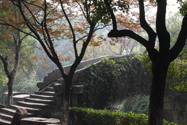 SIMG_5740