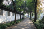 SIMG_5518