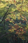 SIMG_5614
