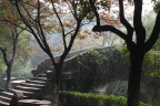 SIMG_5740