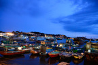 _DSC0850