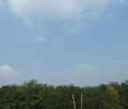 p734087565