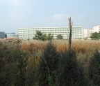 p734087620