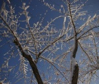 p737298335