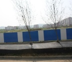 p800580090