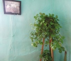 p1015001361