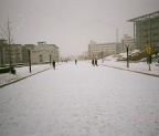 p1031421791