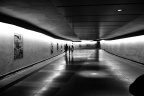 _DSC0507