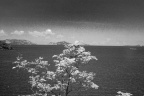 _DSC0651