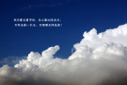 浮云莫强求