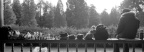 258-Arista400-07