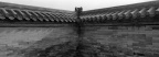 258-Arista400-14