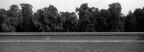 258-Arista400-19