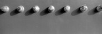 259-Tmax100-03