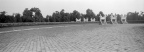 259-Tmax100-06