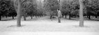 259-Tmax100-19