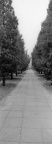 261-TX-01