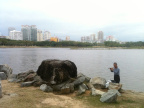 白鹭公园1