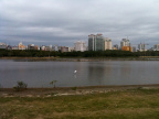 白鹭公园3