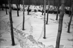 雪迹