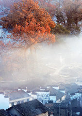 雾里山村
